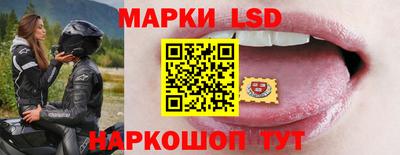 гидропоника Будённовск