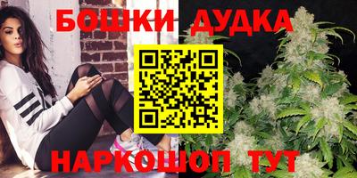 гидропоника Будённовск