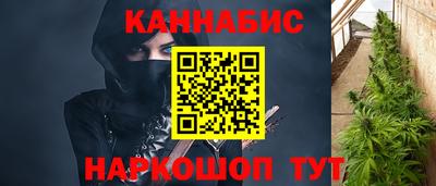 гидропоника Будённовск