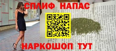 гидропоника Будённовск