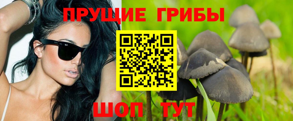 Псилоцибиновые грибы мухоморы Коммунар
